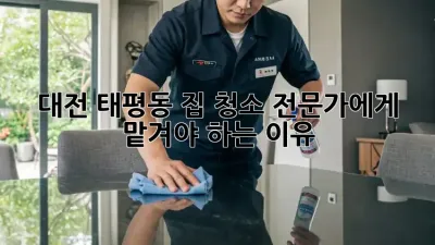 대전 태평동 집 청소, 전문가에게 맡겨야 하는 이유